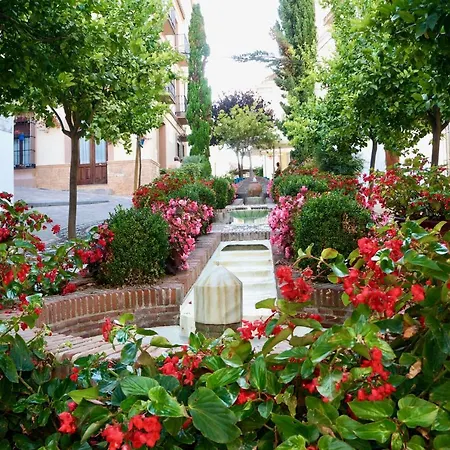 Semesterbostad Authentic Andalusian Townhouse - Private Roof Terrace - 5min *