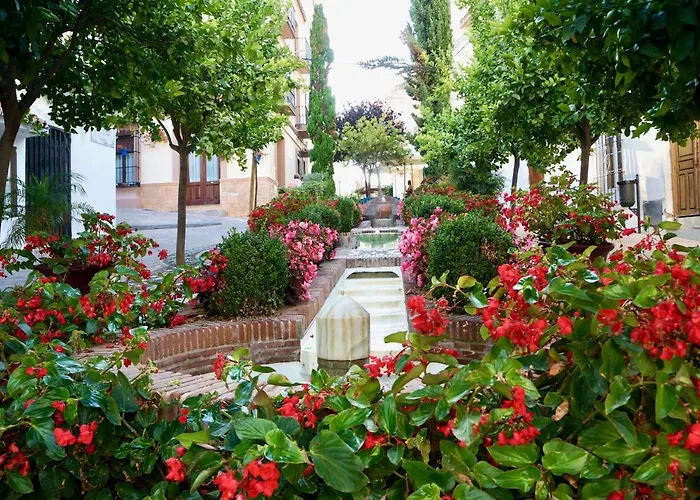 Hébergement de vacances Authentic Andalusian Townhouse With Roof Terrace, Steps From The *
